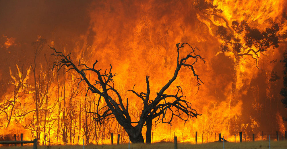 Bushfire-Attack-Levels---What-You-Need-To-Know-Before-You-Build-featured