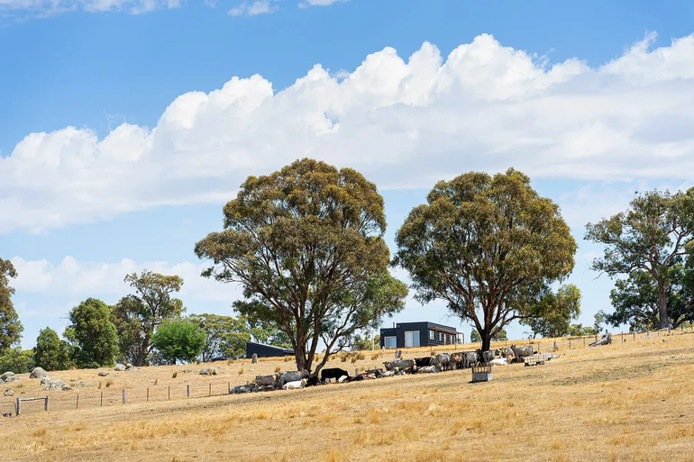 Tachos House Projects 