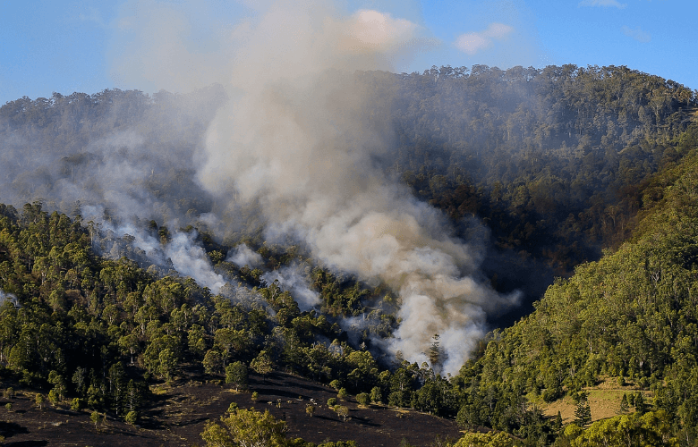 What is a BAL rating?